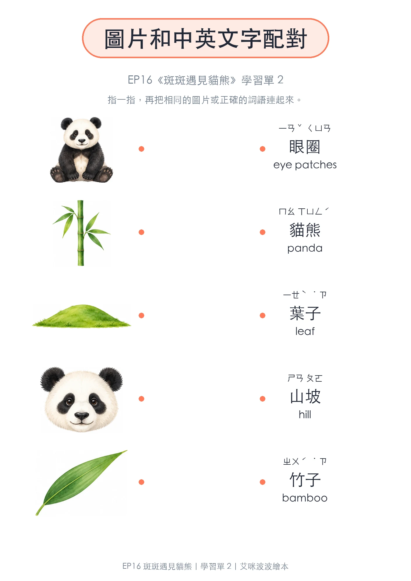 圖片和中英文字配對